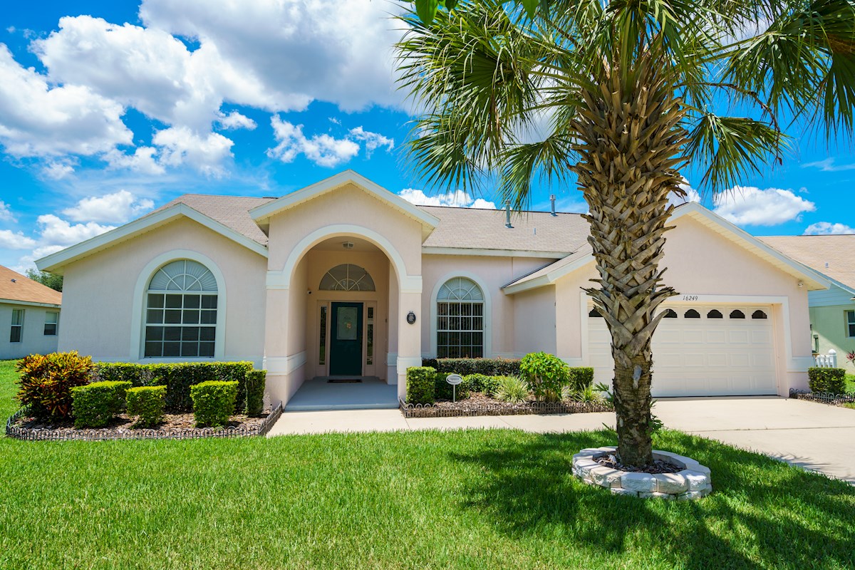 Orange Tree Vacation Rental