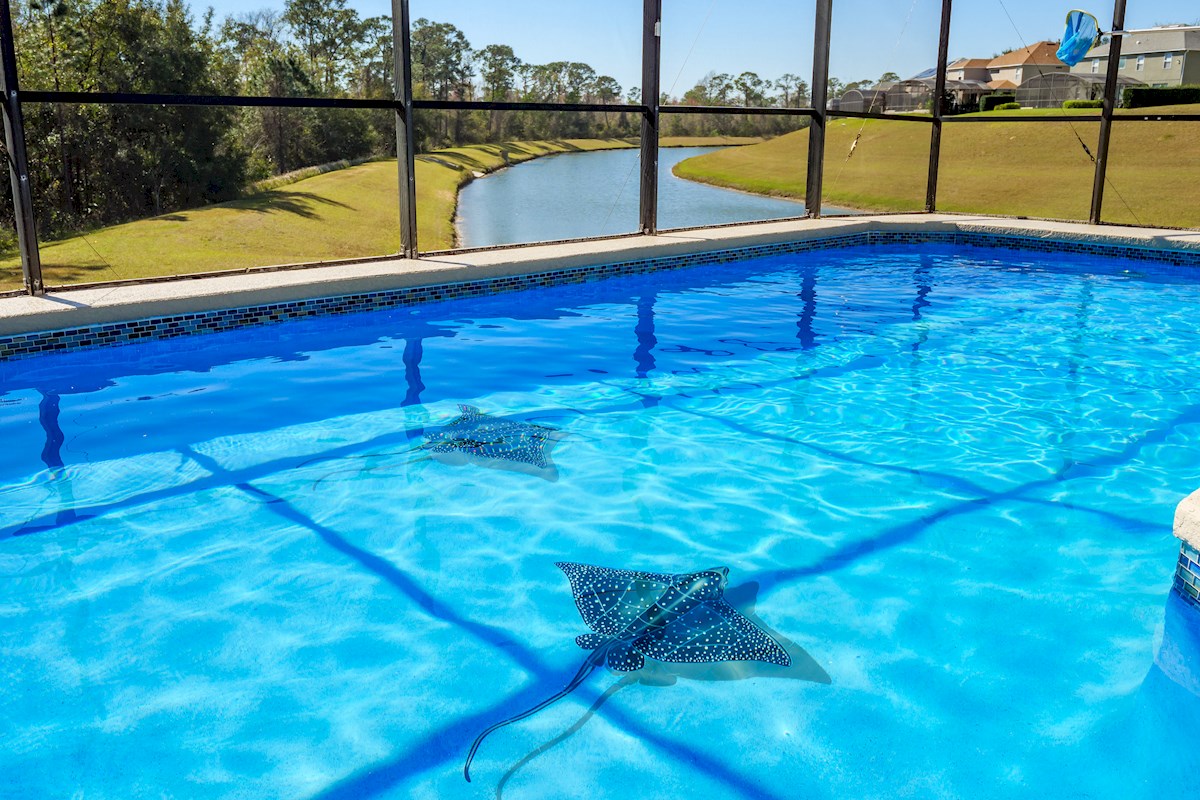 Pool with Lake View